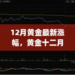 黄金十二月，把握机遇，学习成就黄金涨幅的自信与辉煌