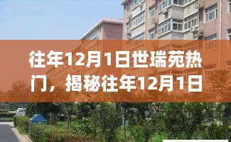 揭秘往年12月1日世瑞苑的节日氛围与热门活动参与体验指南