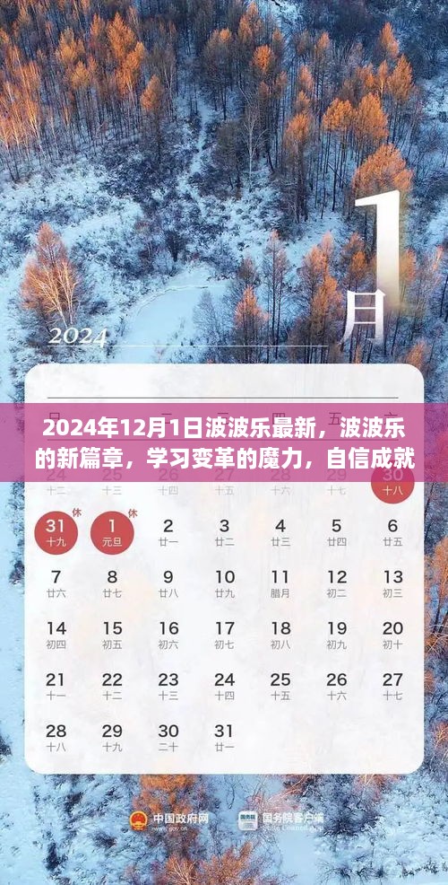 波波乐新篇章，学习变革的魔力，自信引领未来之路（2024年12月1日最新资讯）