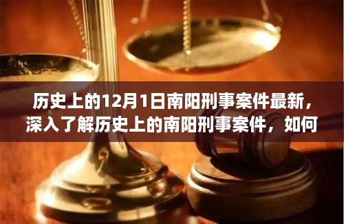 历史上的南阳刑事案件深度解析，技能指南（初学者版）