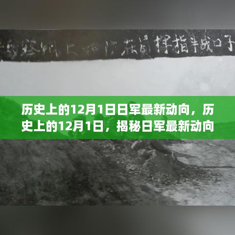 揭秘，历史上的12月1日日军最新动向揭秘