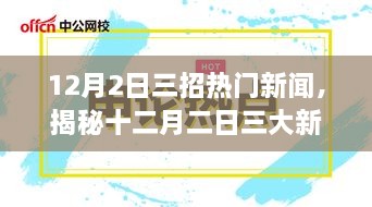 2024年12月2日 第4页