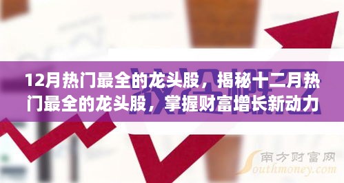 揭秘十二月热门龙头股，小红书投资指南助你掌握财富增长新动力