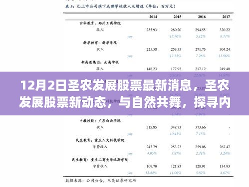 圣农发展股票最新动态，与自然共舞，探寻内心宁静之旅（12月2日更新）