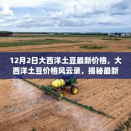 揭秘大西洋土豆最新市场动态，价格风云录及背后故事（12月2日更新）