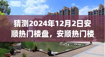 2024年12月3日 第20页