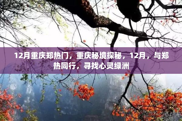 12月重庆郑热门探秘之旅，与郑热同行，心灵绿洲等你发现