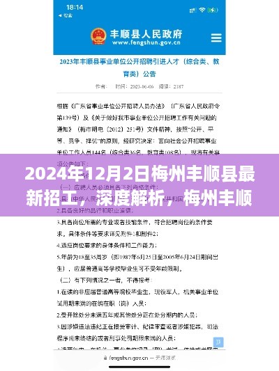 梅州丰顺县最新招工信息深度解析，特性、体验、竞品对比及用户群体分析（2024年12月版）