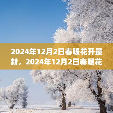 2024年12月3日 第14页