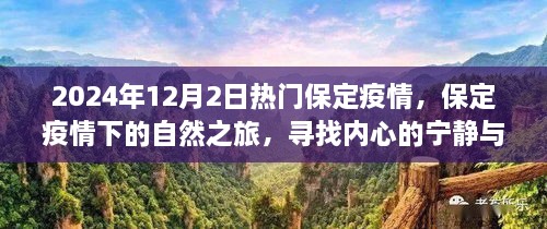 保定疫情下的自然之旅，寻找内心的宁静与微笑的力量（2024年疫情热点）