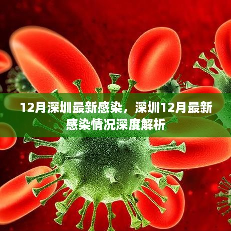 深圳12月最新感染情况深度解析与报告