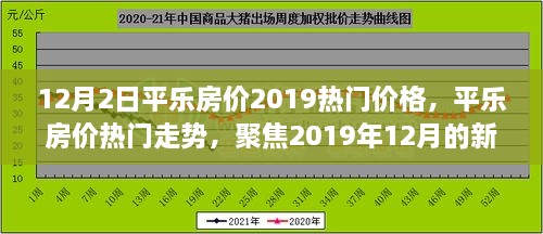 2019年12月平乐房价走势与热门价格解析，新动态与个人观点聚焦