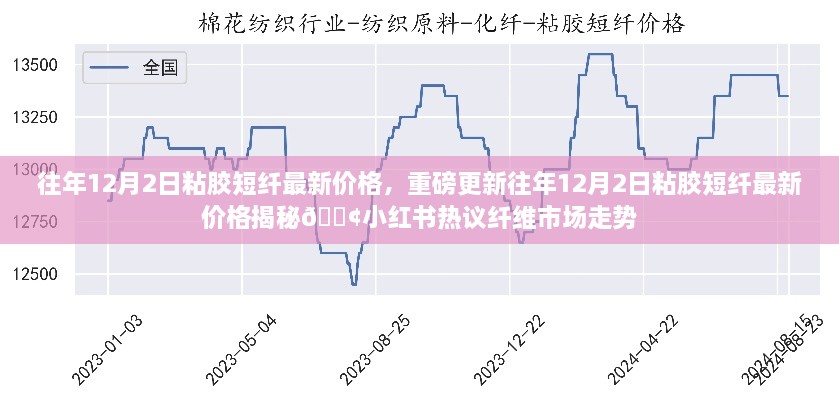 2024年12月3日 第4页