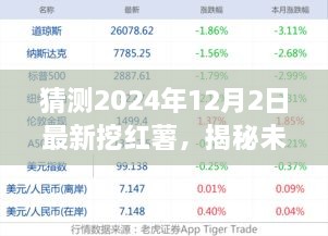 2024年12月4日 第30页