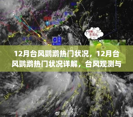 12月台风鹦鹉热门状况详解及应对技能学习指南