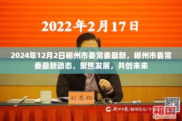 郴州市委常委聚焦发展动态，共创未来新篇章（2024年12月2日最新消息）