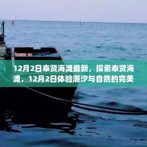 12月2日奉贤海滩探索之旅，潮汐与自然的完美交融