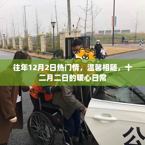 十二月二日的暖心日常，温馨相随的节日情怀