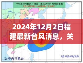 福建台风最新动态，关注台风消息与解读（2024年12月）