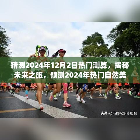 揭秘未来之旅，预测2024年热门自然美景之旅，探寻内心的宁静与平和的预测测算报告