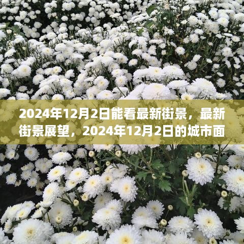 揭秘，2024年城市新貌——街景展望与未来城市面貌揭秘（独家报道）