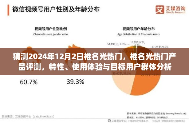 椎名光热门产品深度解析，特性、体验与目标用户群体分析预测（2024年12月版）