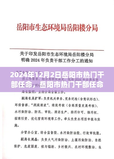 岳阳市干部任命详解，从热门人选到流程解析（初学者与进阶用户适用）