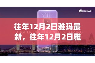 往年12月2日雅玛最新产品全面介绍与评测