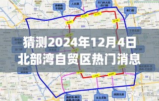 2024年12月4日 第8页