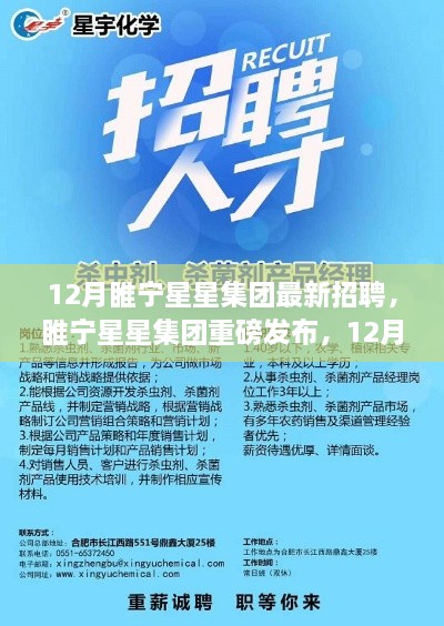 睢宁星星集团12月招聘潮来袭，最新高科技岗位开放，开启未来科技生活新篇章！