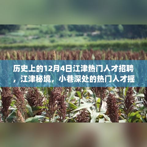 江津秘境，时光回溯至12月4日的热门人才招聘日