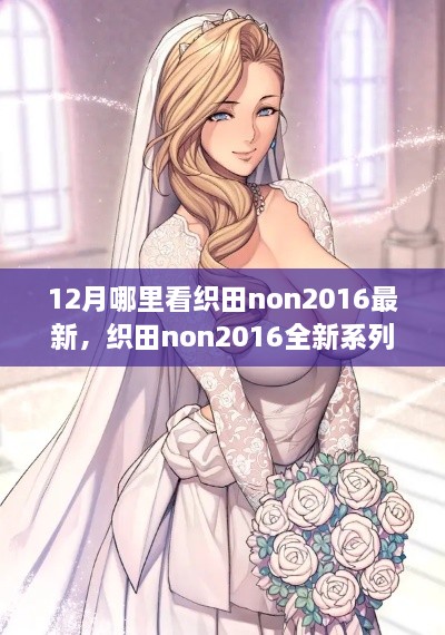 织田non2016全新科技系列，重塑未来生活体验，十二月必看巅峰之作