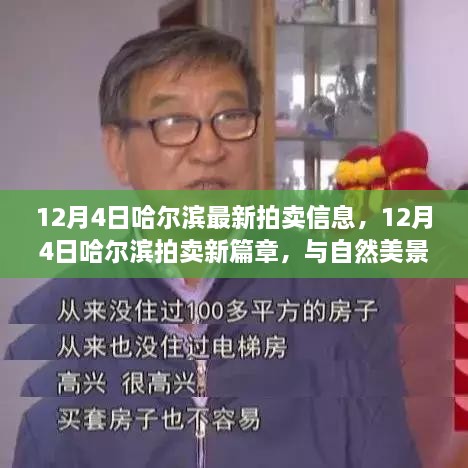 12月4日哈尔滨拍卖新动态，与自然美景共舞，探寻宁静之旅