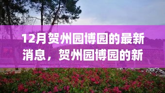 贺州园博园新篇章揭秘，变化中的学习，自信与成就感的源泉（最新消息）