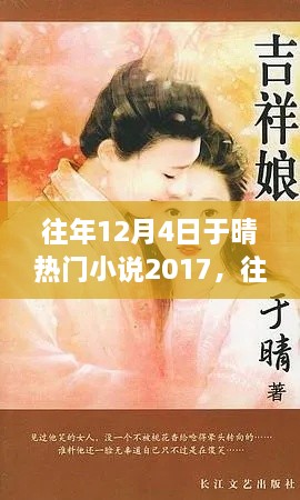 往年12月4日晴，探索热门小说〈2017〉的魅力