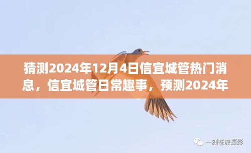 猜测2024年12月4日信宜城管热门消息，信宜城管日常趣事，预测2024年那温馨的一天