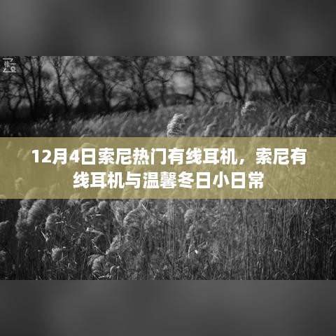 索尼热门有线耳机，冬日日常的最佳伴侣