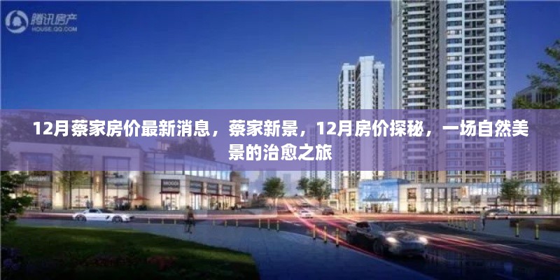 12月蔡家房价最新动态，新景探秘与美景治愈之旅