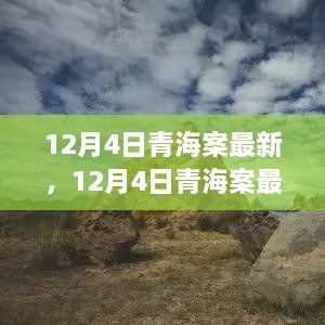 深度解析，青海案最新进展与关键细节揭秘