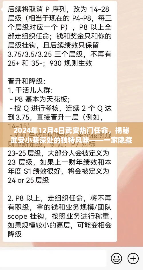 揭秘武安小巷深处的独特风味，一家隐藏在小巷中的特色小店的热门任命故事（2024年12月4日）