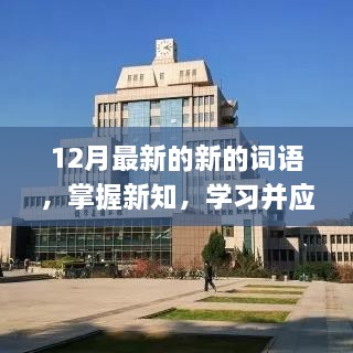 掌握新知，学习并应用最新流行词语的步骤指南（12月版）