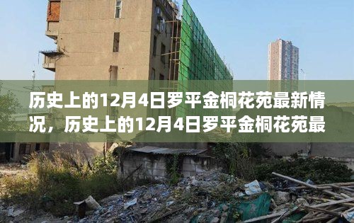 历史上的12月4日罗平金桐花苑最新进展报告概览