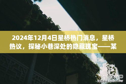 探秘星桥小巷深处的隐藏瑰宝，某特色小店独家探秘记（最新热议消息）