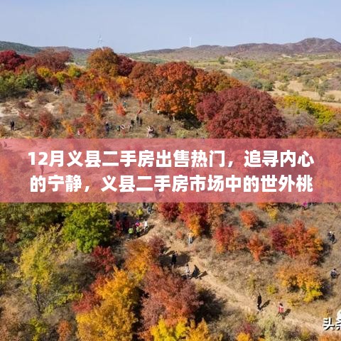 追寻内心宁静的旅程，义县二手房市场热门房源探寻