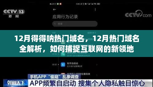 揭秘十二月热门域名趋势，一网打尽热门域名解析与捕捉互联网新领地策略