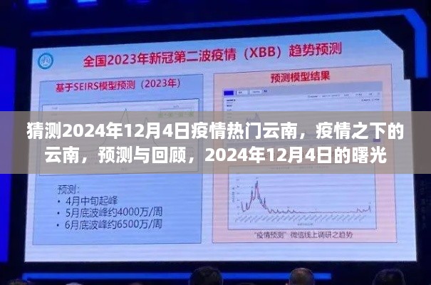 2024年12月4日云南疫情展望与回顾，曙光初现