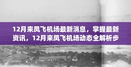 12月来凤飞机场最新动态与资讯全解析，步骤指南