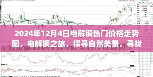 电解铜价格走势图与探寻自然美景的双重之旅，宁静与平和的探寻