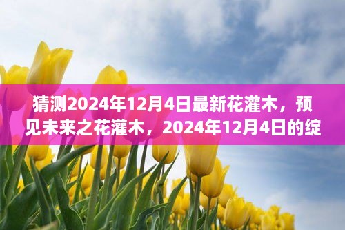 预见未来之花灌木，2024年12月4日新花灌木的绽放与影响展望