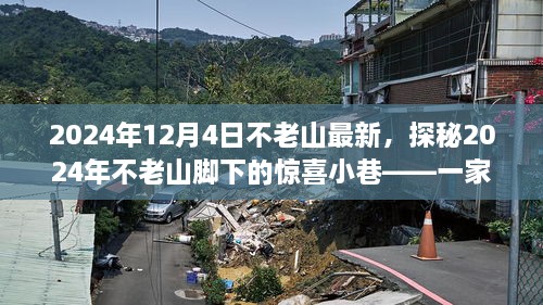 探秘不老山脚下惊喜小巷，独家特色小店的神秘面纱揭晓（2024年最新）